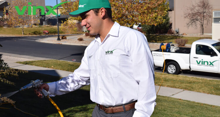 Pest Control Yard Spray