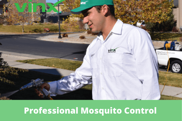 Professional Mosquito Control