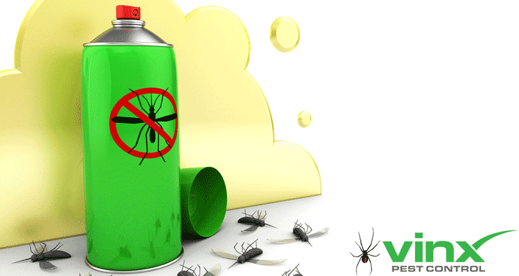 How to Get Rid of Crane Flies