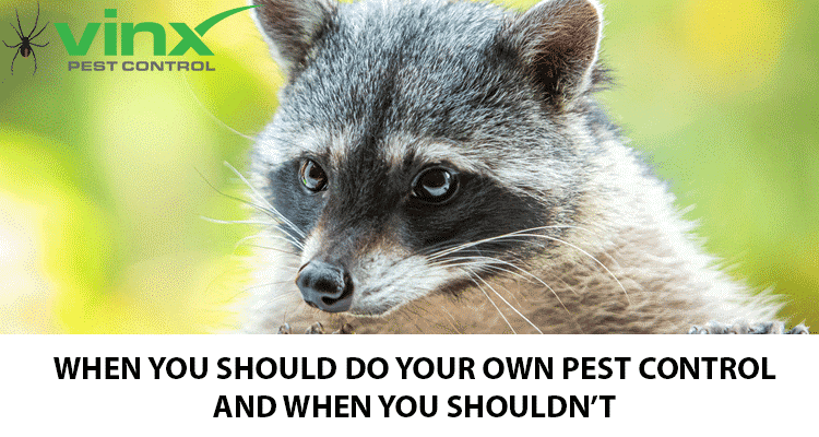 When You Should Do Your Own Pest Control