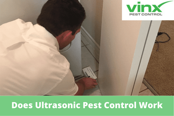 Does Ultrasonic Pest Control Work