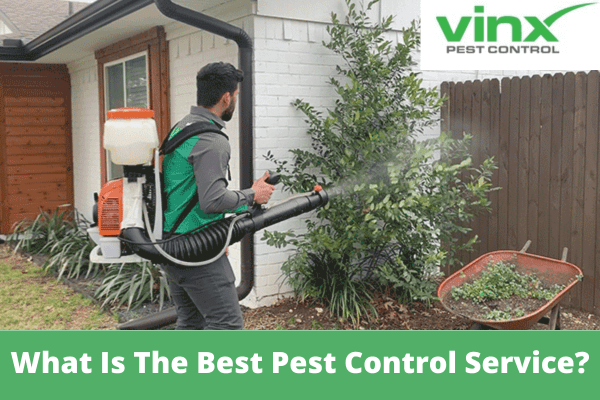 What Is The Best Pest Control Service?